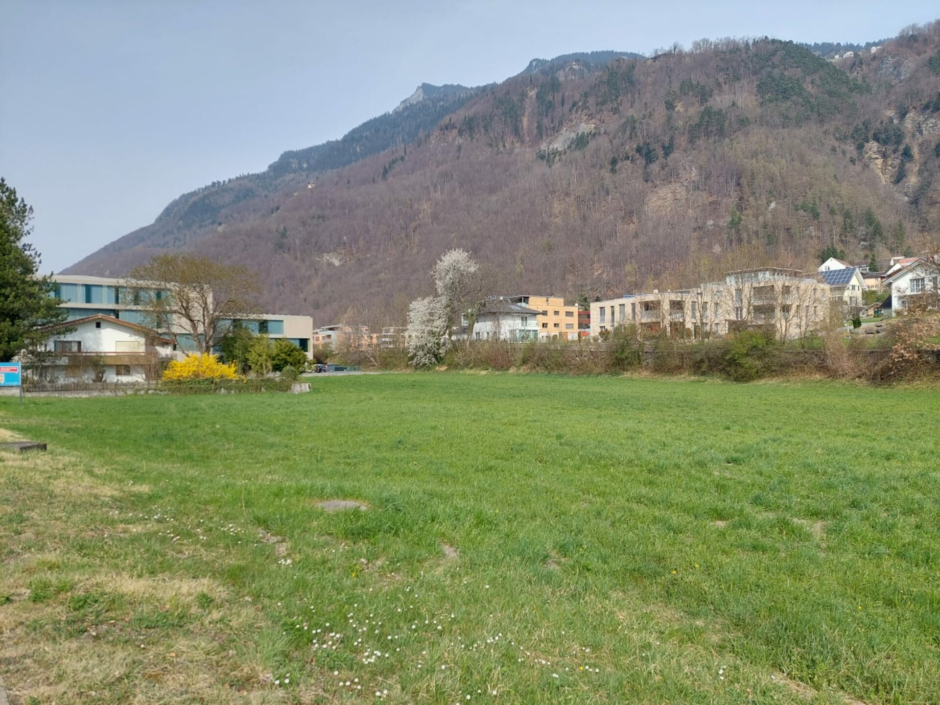 triesen5-1920×0-c-default