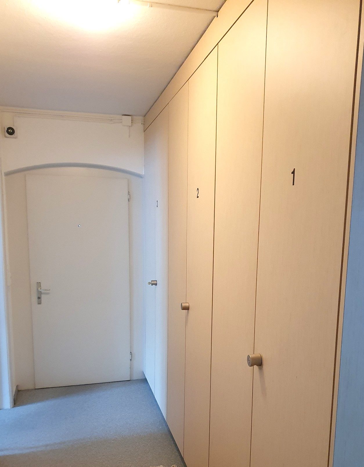 20241120_101302_resized