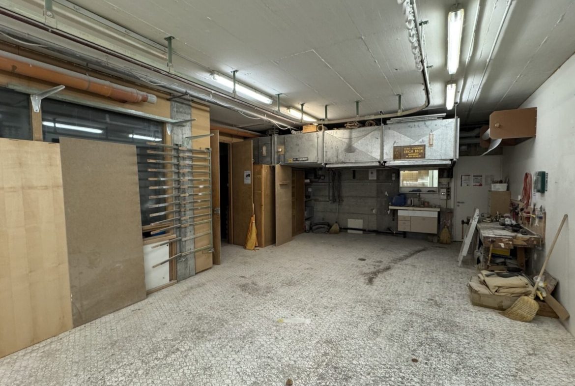 Gewerbeflaeche-sbql-nemo-1