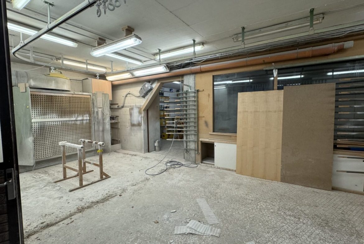 Gewerbeflaeche-sbql-nemo-3