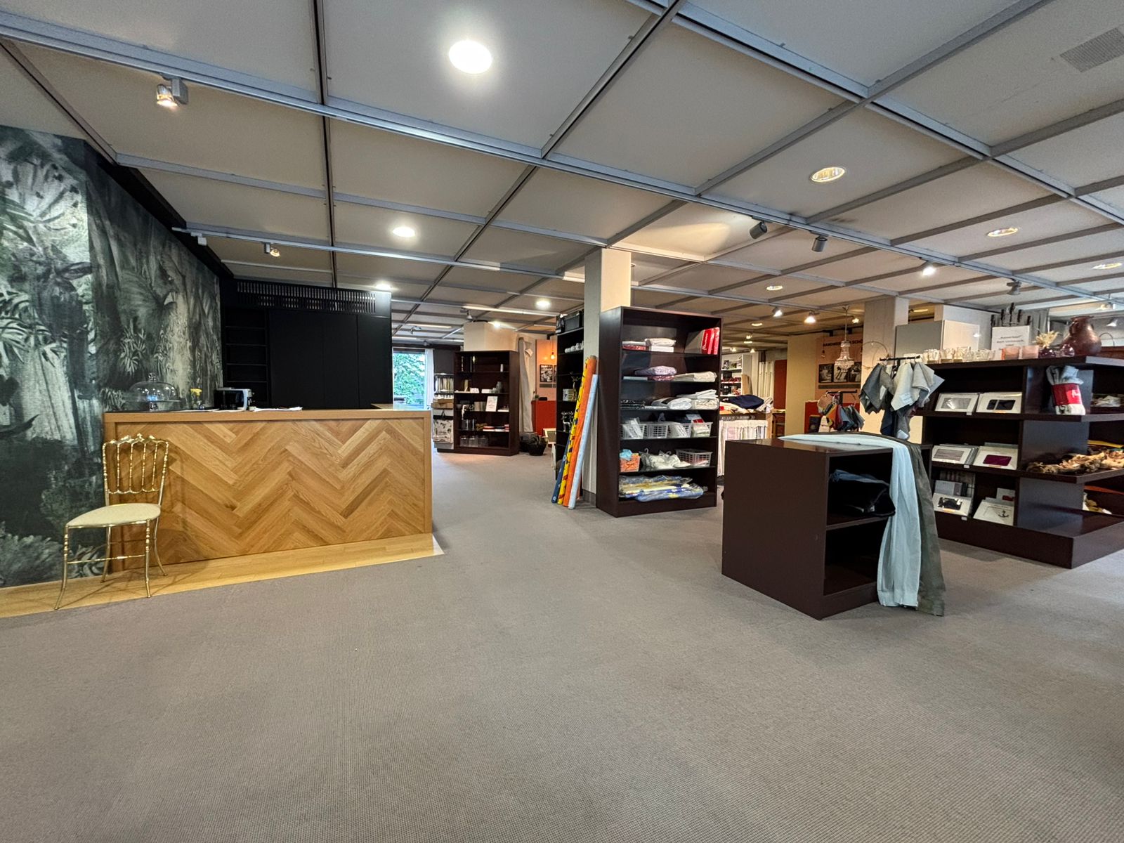 Verkaufsflaeche-in-Schaan-cnpf-nemo-1