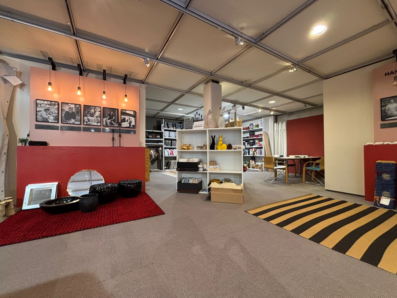 Verkaufsflaeche-in-Schaan-cnpf-nemo-3