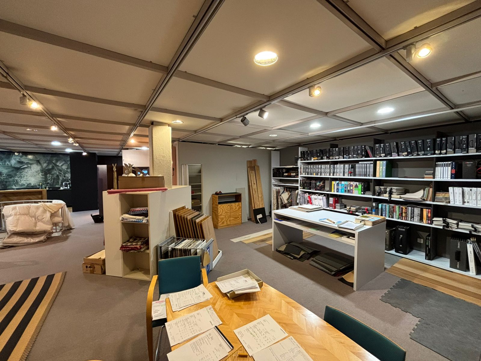 Verkaufsflaeche-in-Schaan-cnpf-nemo-5