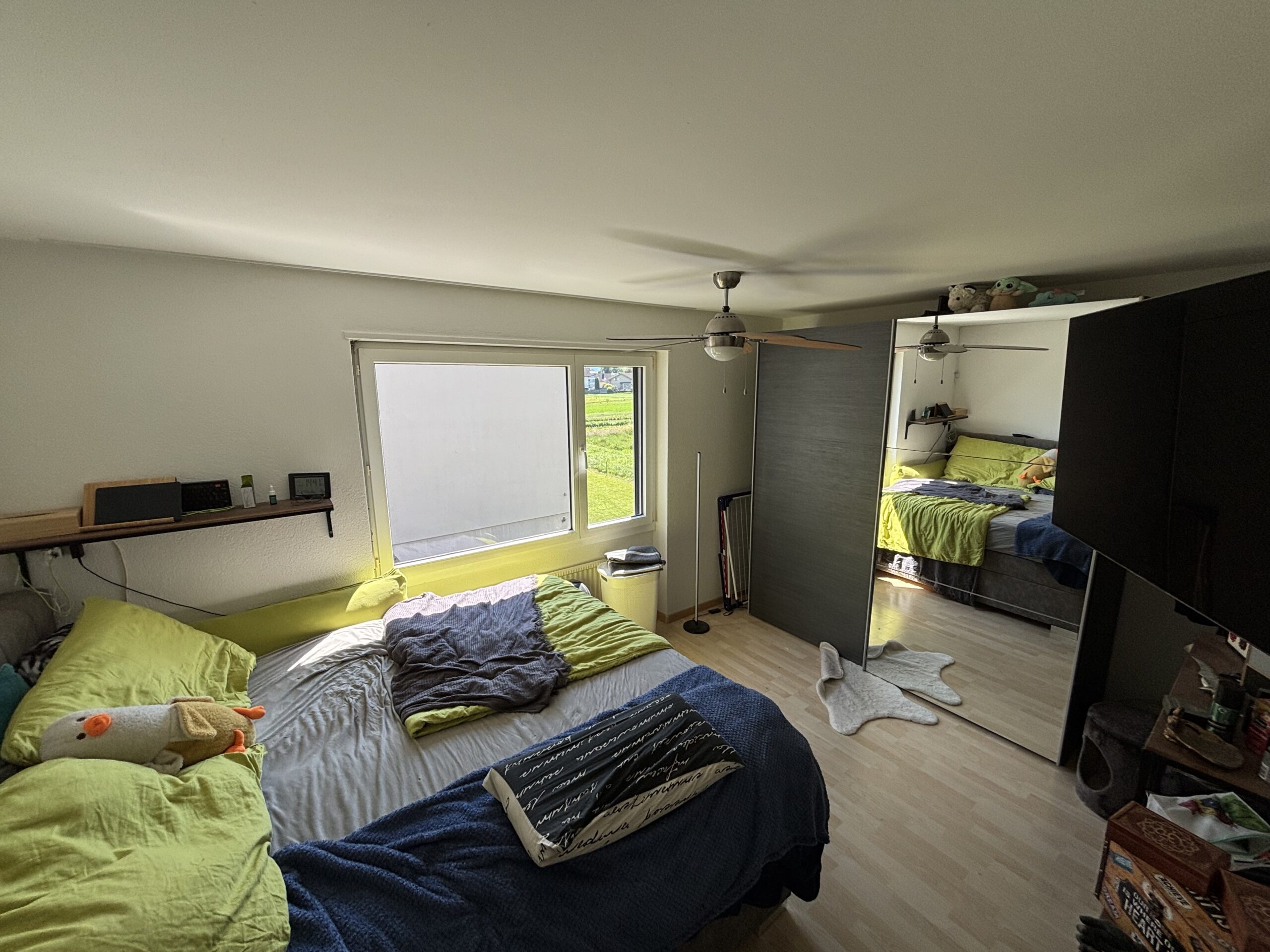 45-Zimmerwohnung-in-Schaan-t2na-nemo-12