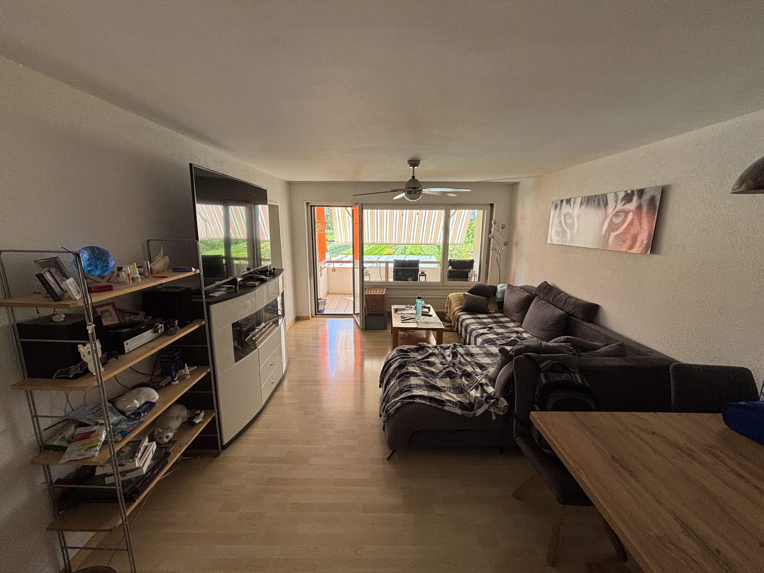 45-Zimmerwohnung-in-Schaan-t2na-nemo-2