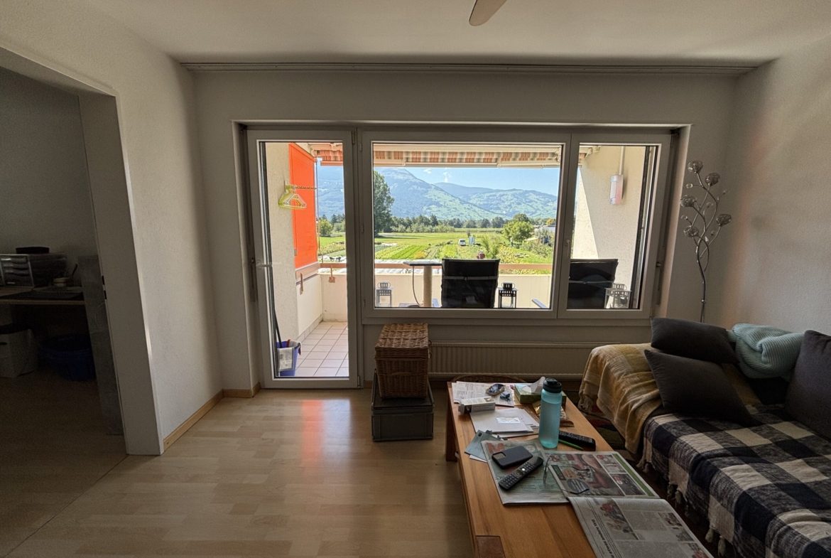 45-Zimmerwohnung-in-Schaan-t2na-nemo-3