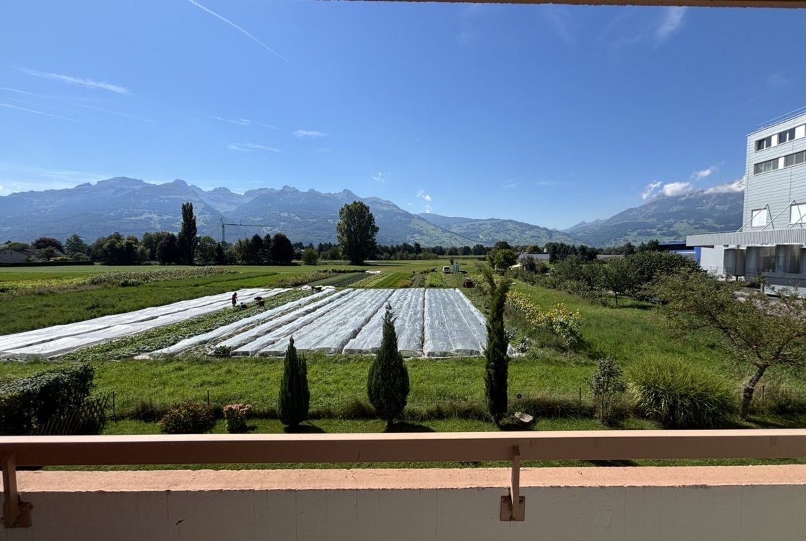 45-Zimmerwohnung-in-Schaan-t2na-nemo-5