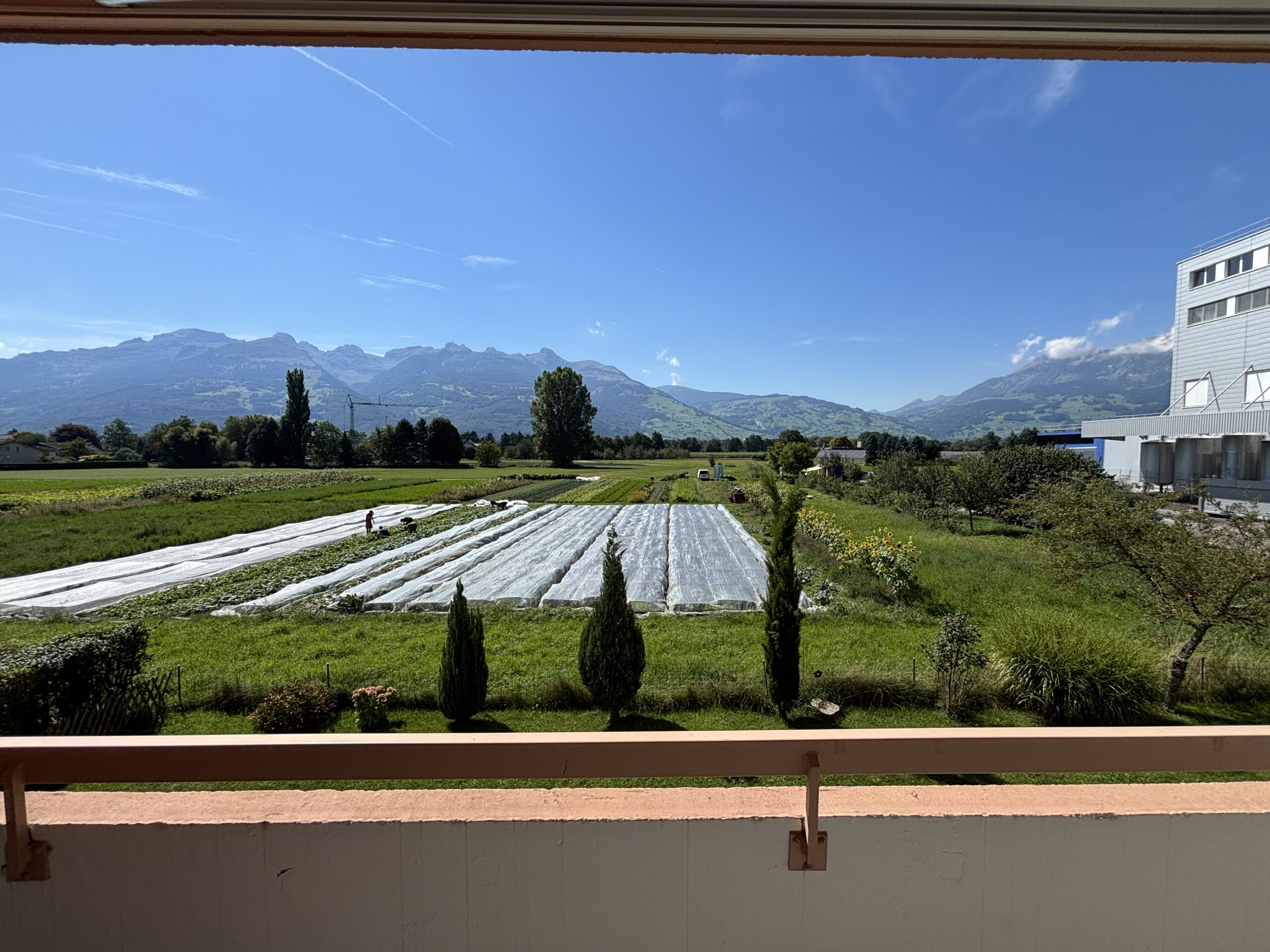 45-Zimmerwohnung-in-Schaan-t2na-nemo-5