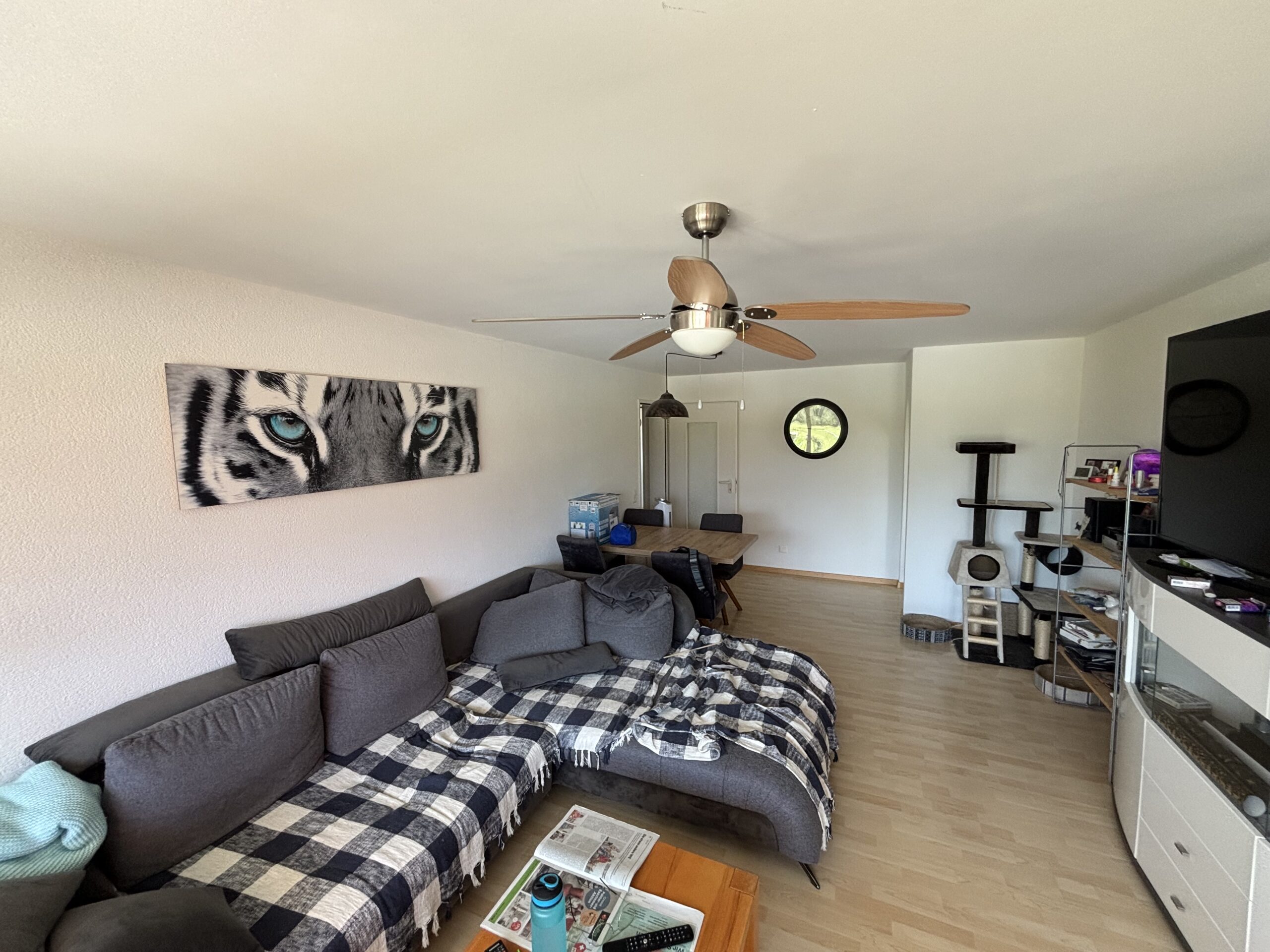 45-Zimmerwohnung-in-Schaan-t2na-nemo