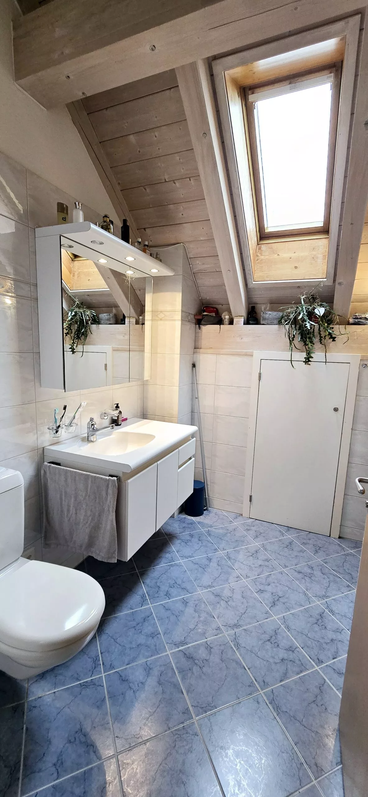 Grosszuegige-25-Zimmerwohnung-in-Oberbendern-ifhd-nemo-3