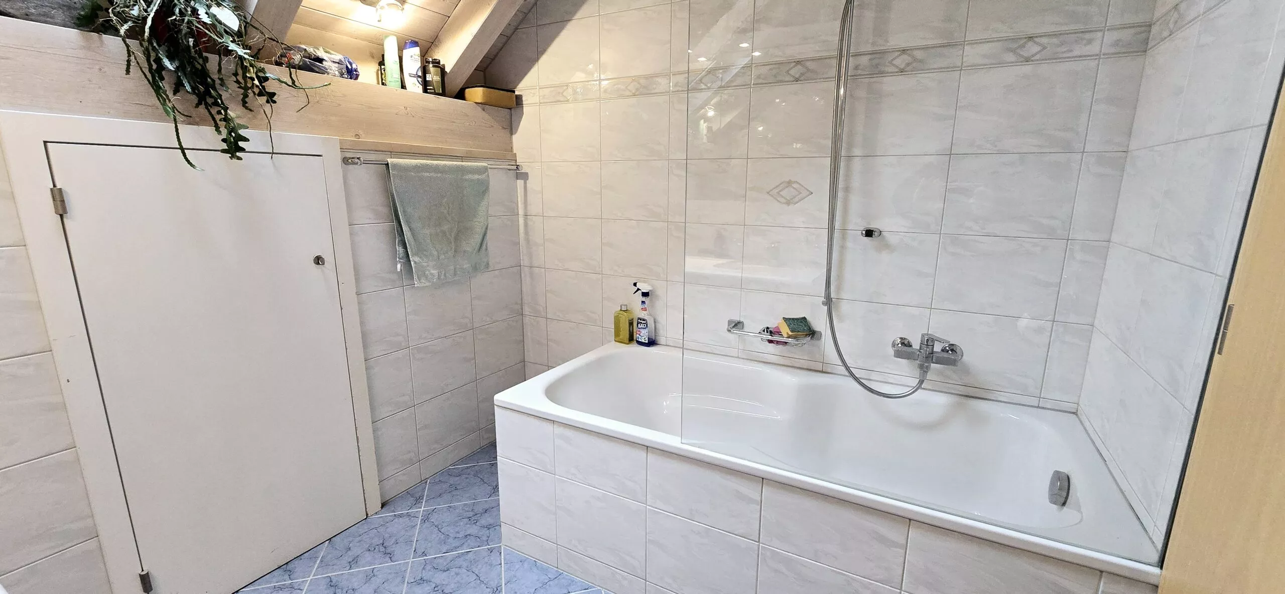 Grosszuegige-25-Zimmerwohnung-in-Oberbendern-ifhd-nemo-4