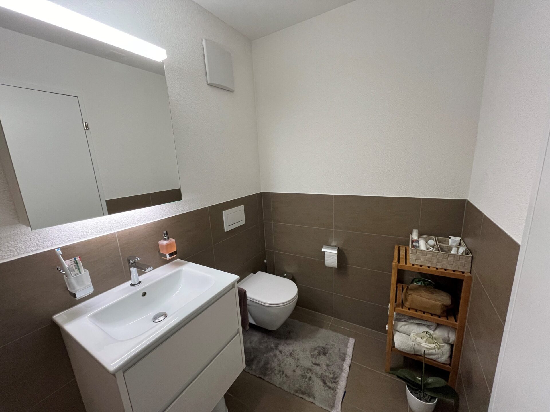 45-Zimmerwohnung-mit-Traumterrasse-hch9-nemo-7