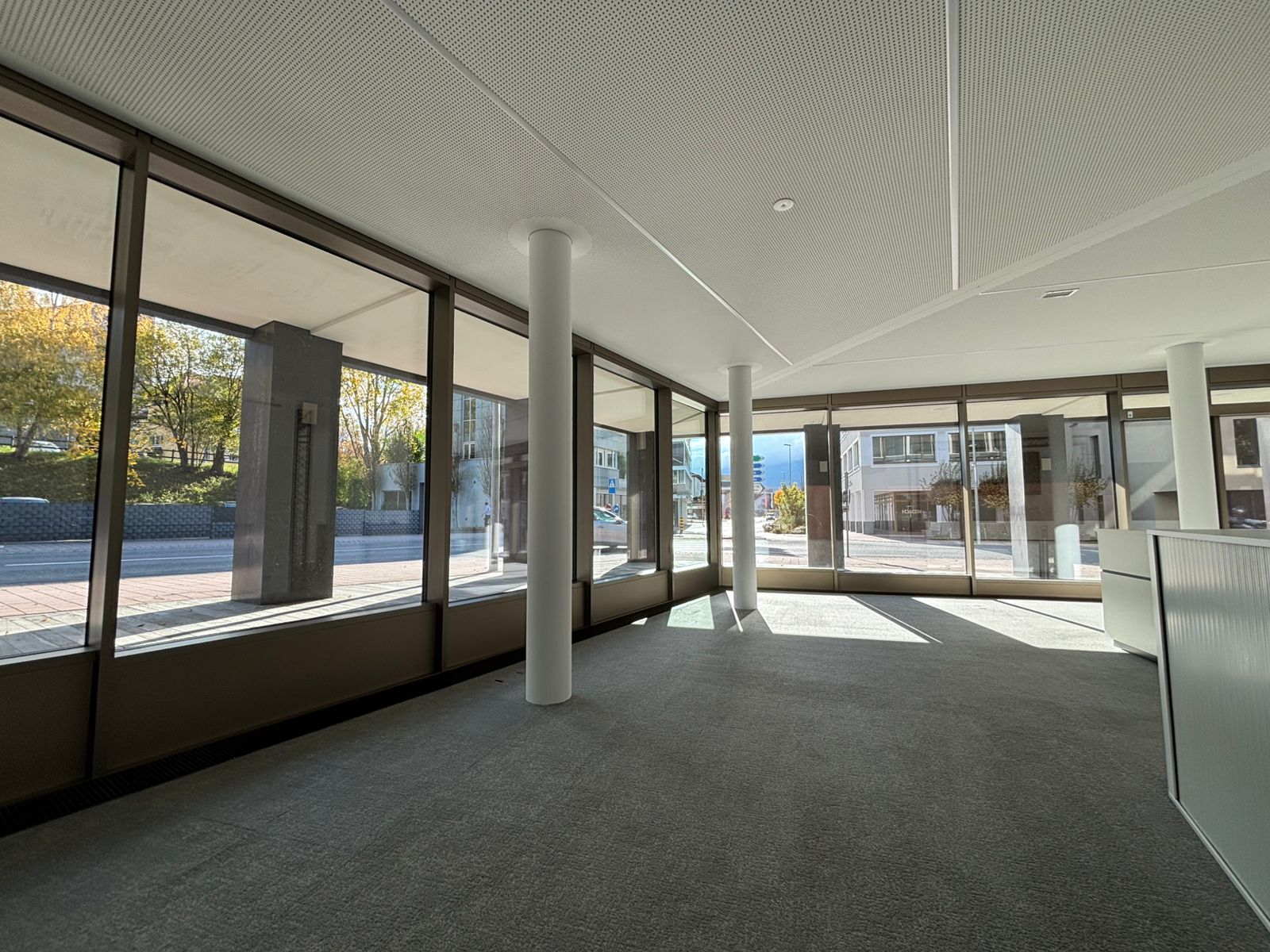 BueroGewerbe-an-einer-Top-Lage-in-Schaan-ixqy-nemo-3