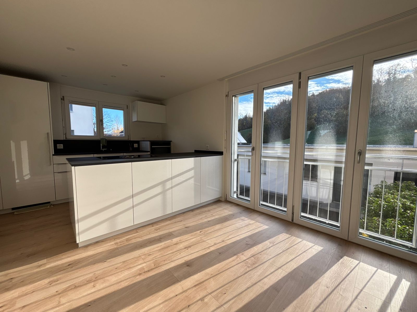 Doppel-Einfamilienhaus-in-Ruggell-dyb8-nemo-3