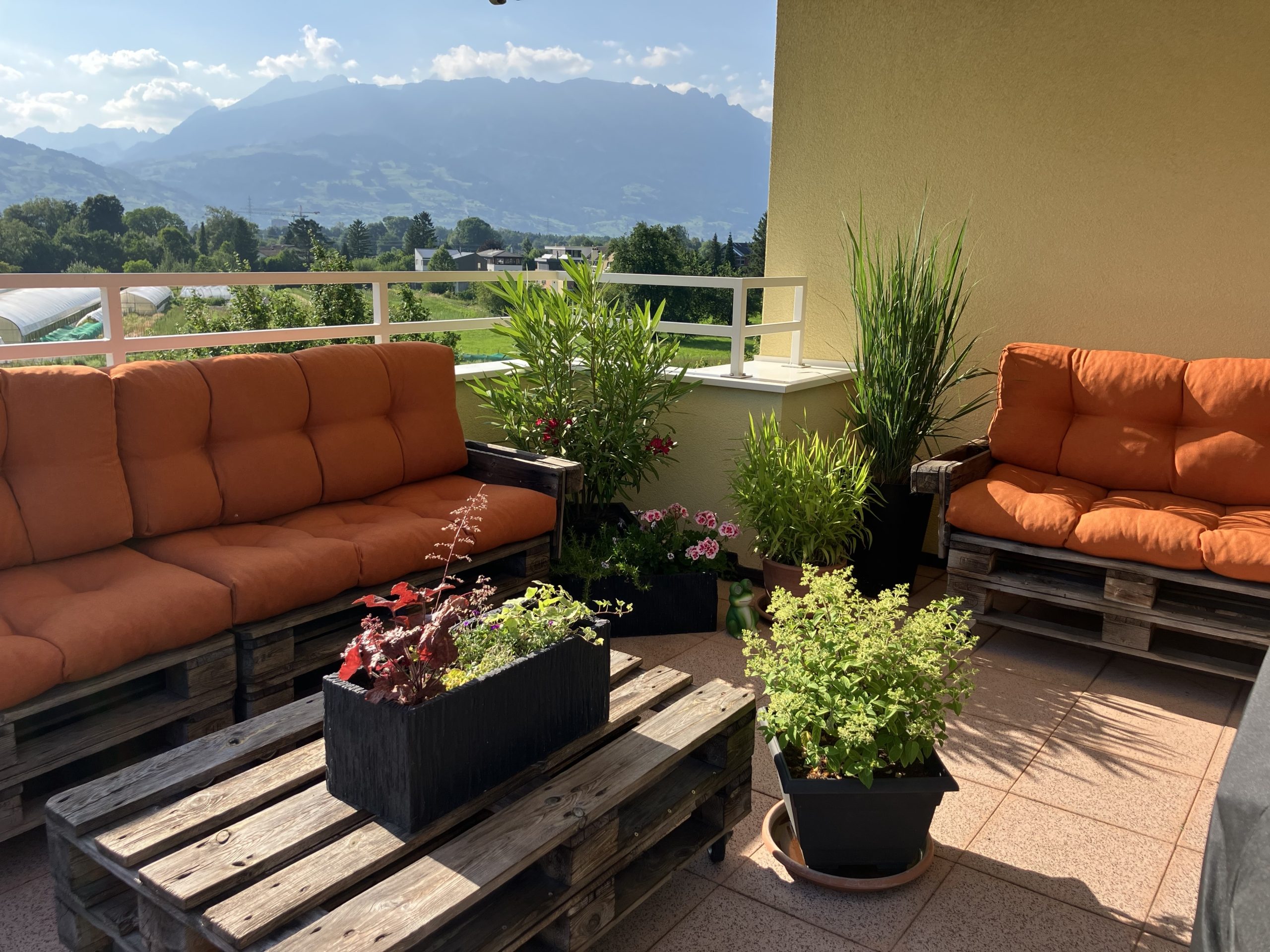 IMG_0633-20251116-192506