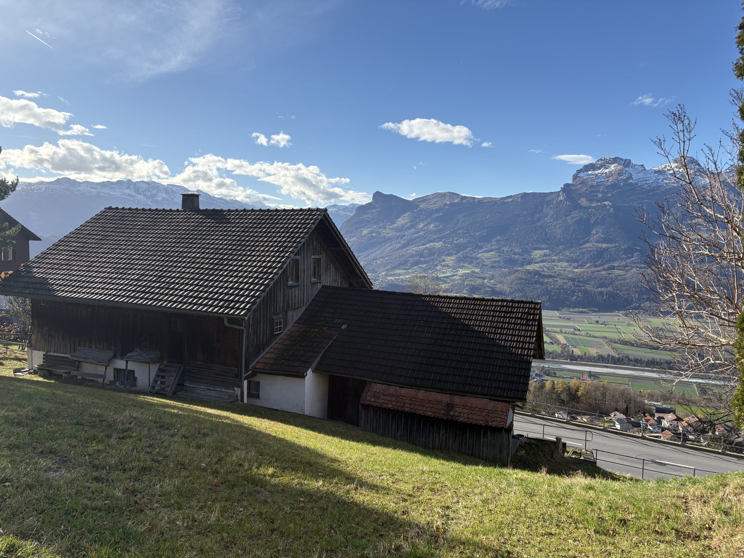 IMG_6558-20251118-111958