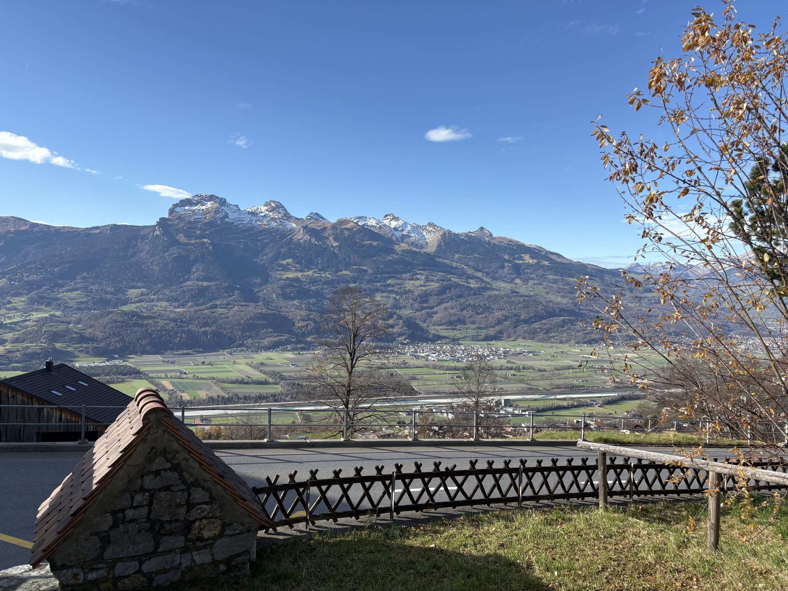 IMG_6561-20251118-112022