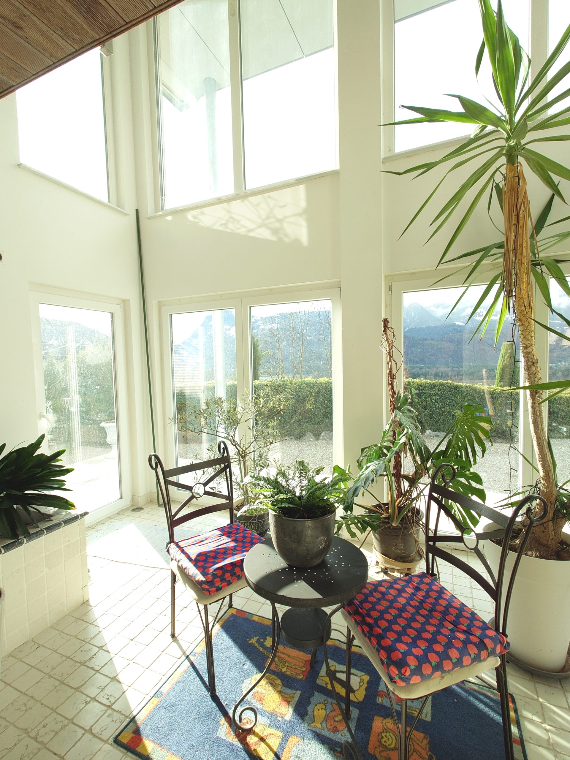 IMG_20251121_083308-20251203-100852