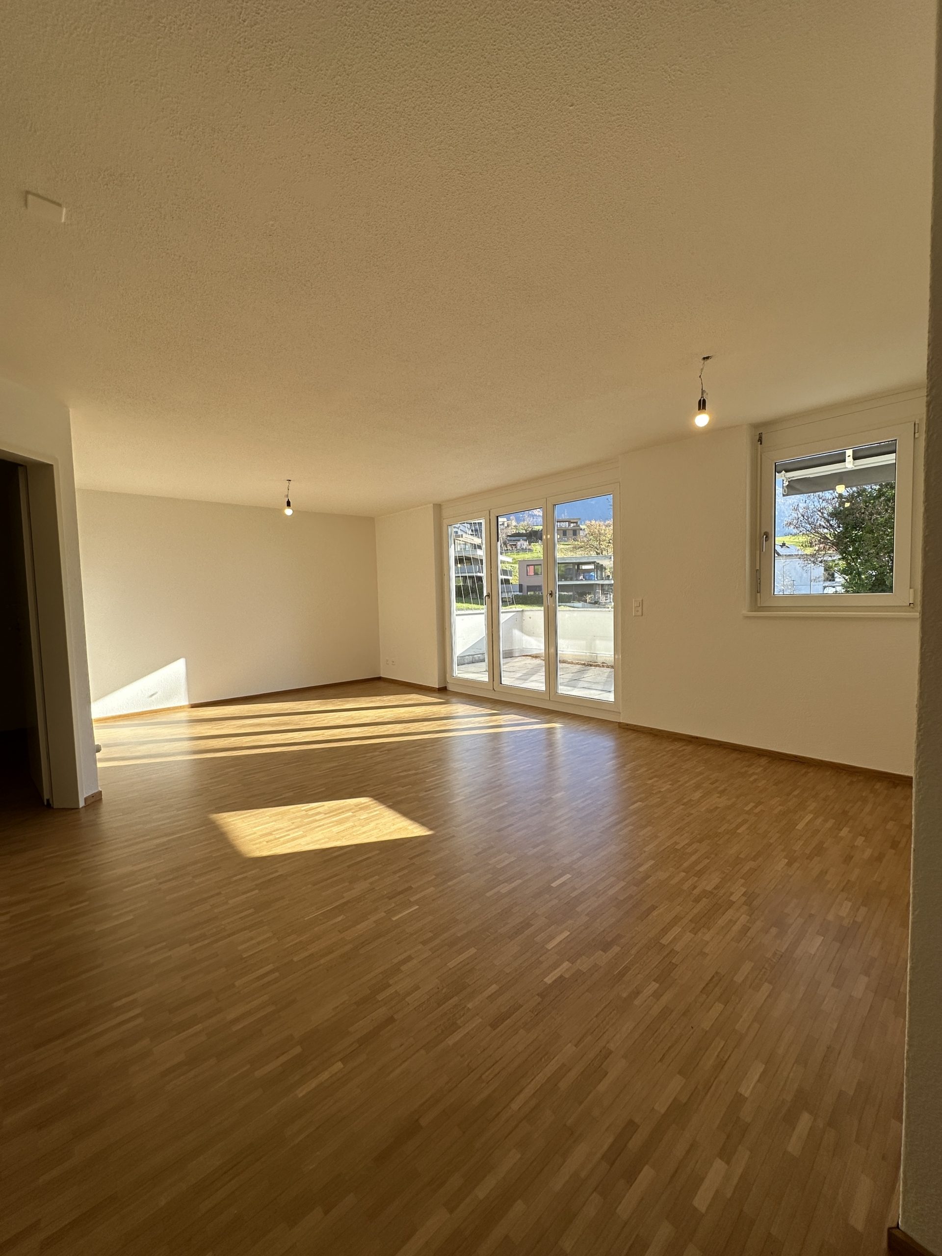 IMG_8774-20260127-152739