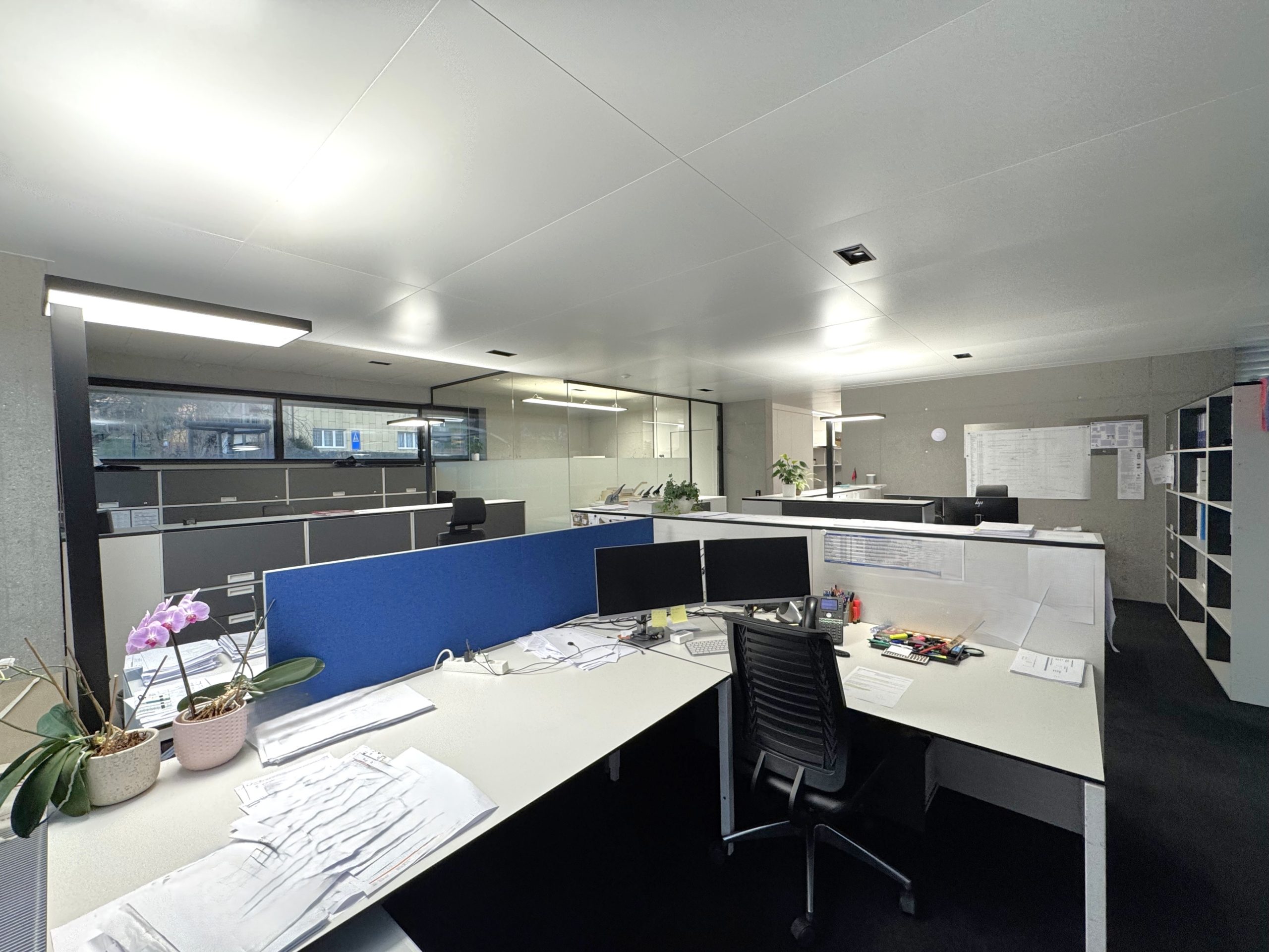 IMG_9484-20260128-073615