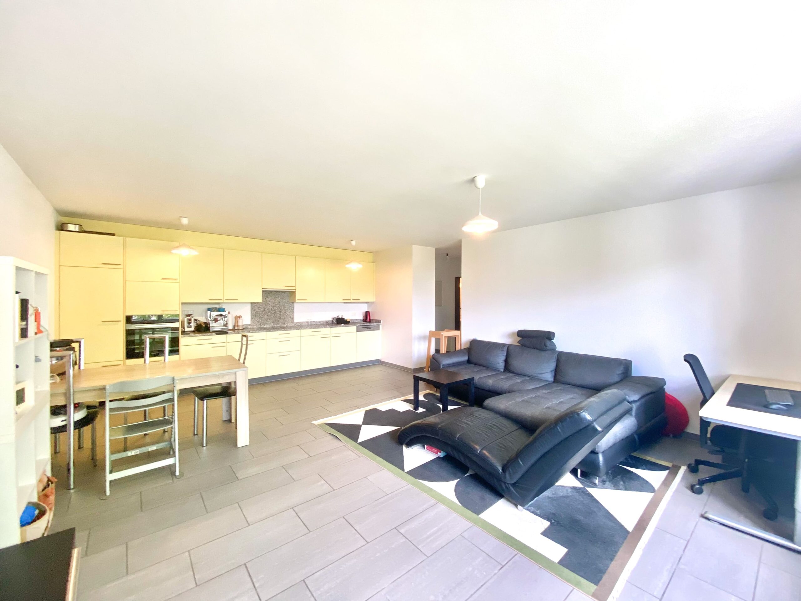 25-Zimmerwohnung-in-Eschen-gls7-nemo-1