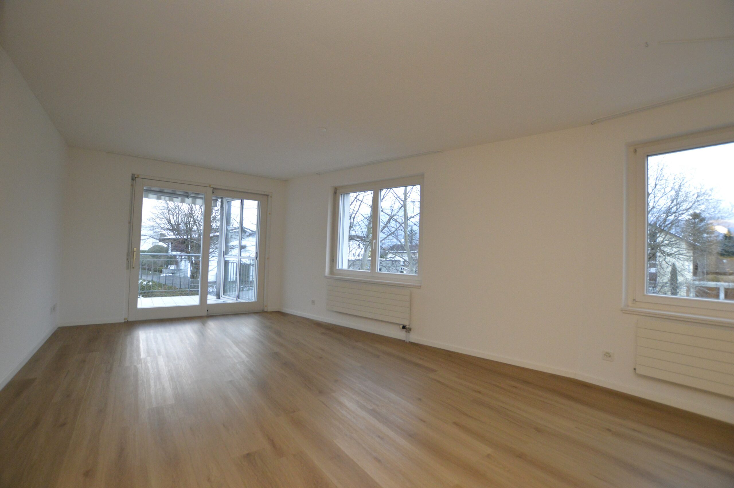 45-Zimmer-Maisonettewohnung-in-Schaan-rf98-nemo