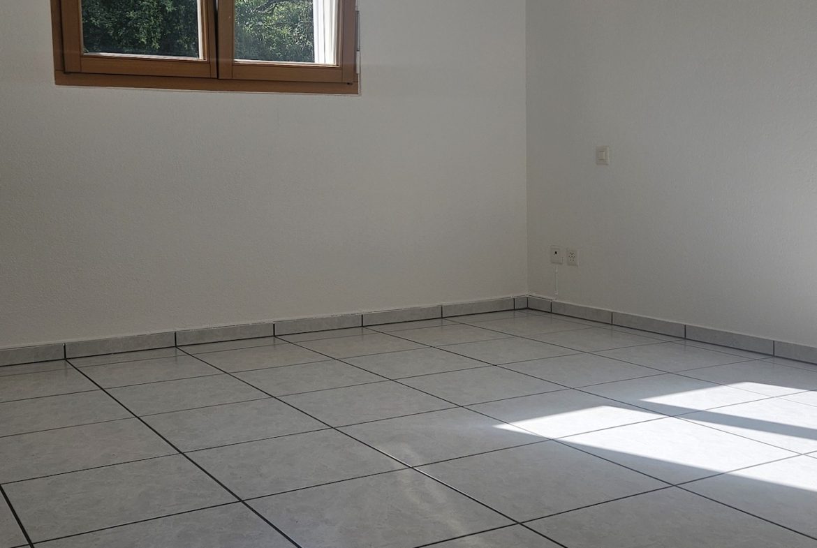 4.5 Zimmerwohnung im EG