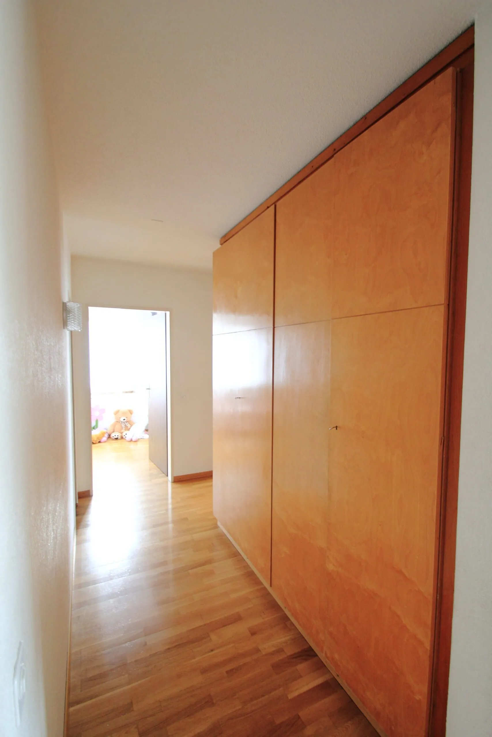 35-Zimmerwohnung-im-Zentrum-von-Schaan-79xp-nemo-3