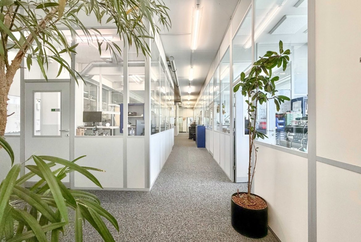 Büro in Schaan