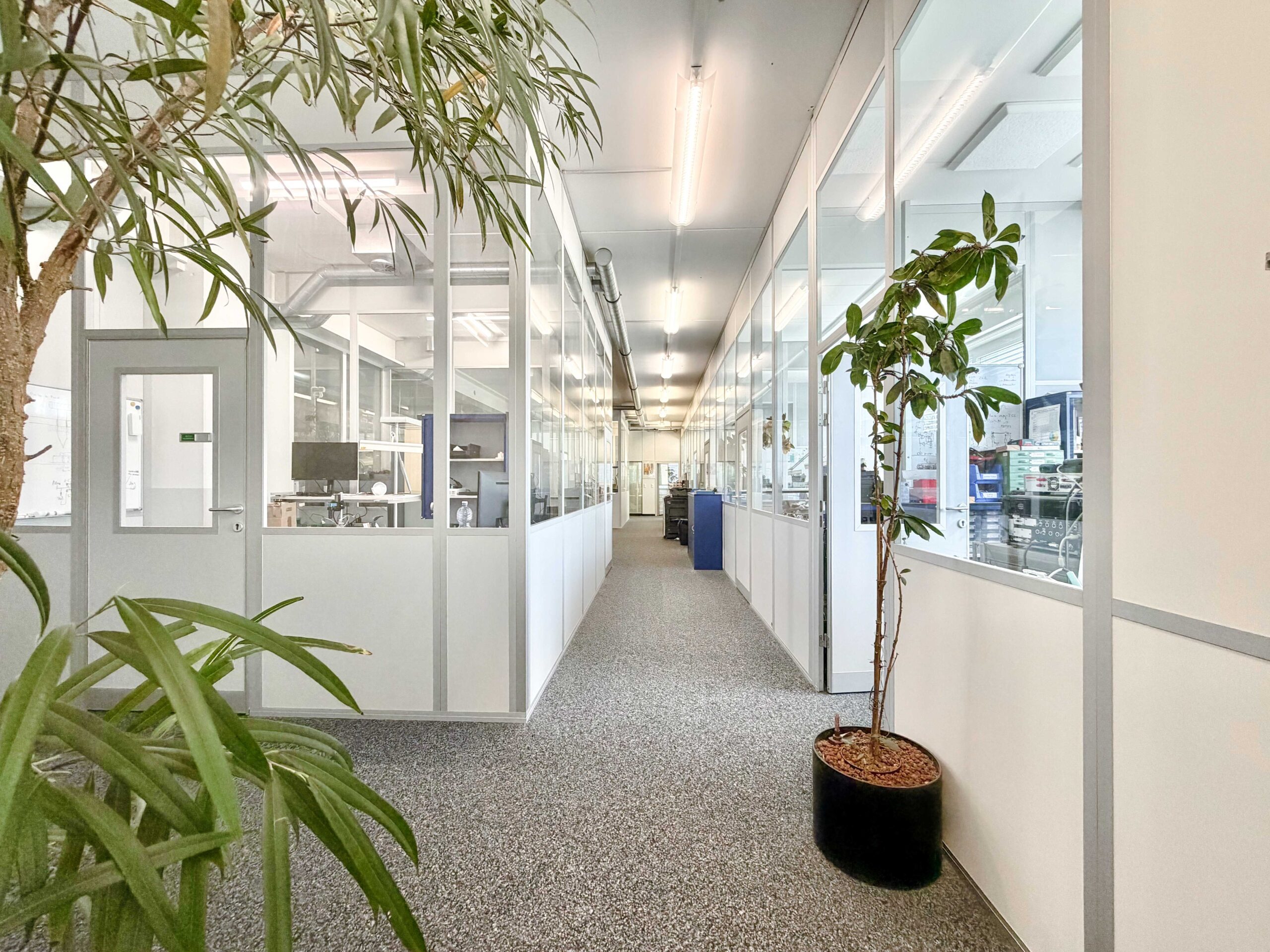 Büro in Schaan