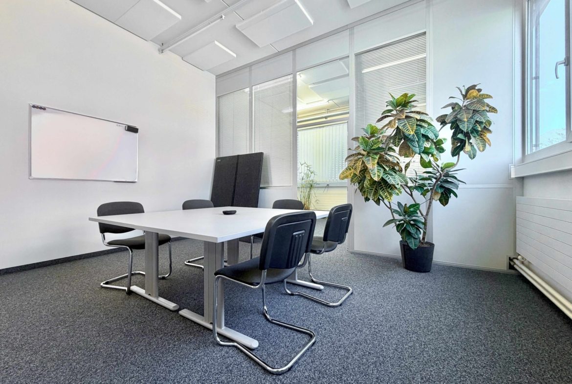 Büro/Gewerbe in Schaan