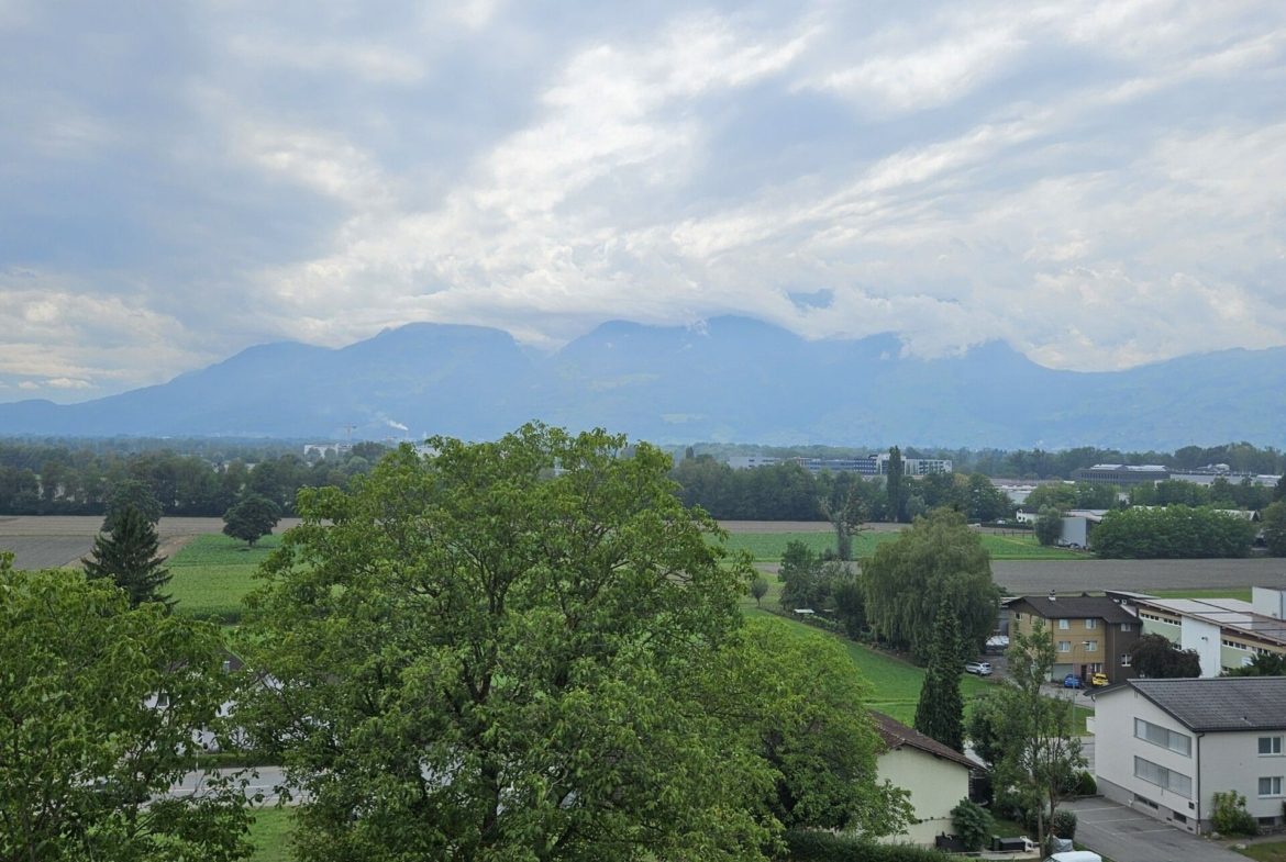 Hochwertige 4.5-Zi.-Attikawohnung in Erstvermietung (B5)