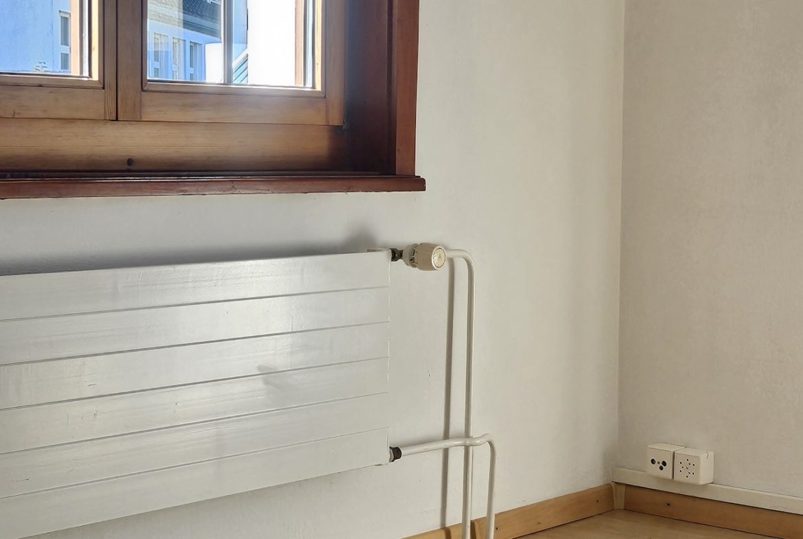 Grosses 4.5 Zimmerhaus