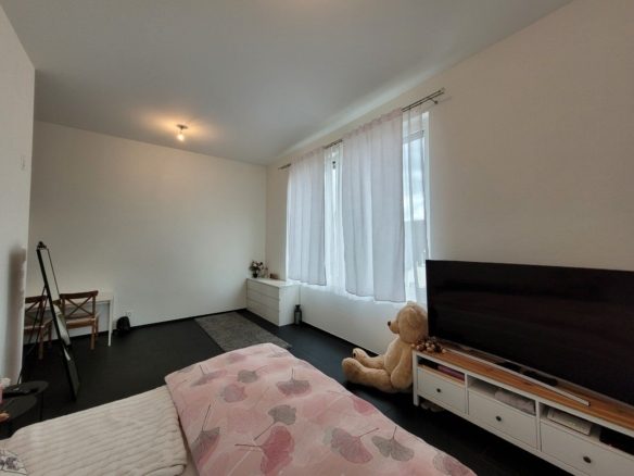 Neuwertige 1.5-Zimmer-Wohnung in Eschen